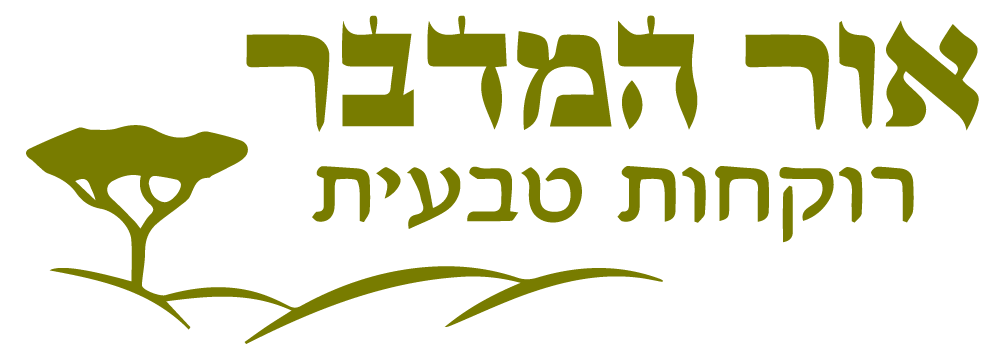 אור המדבר